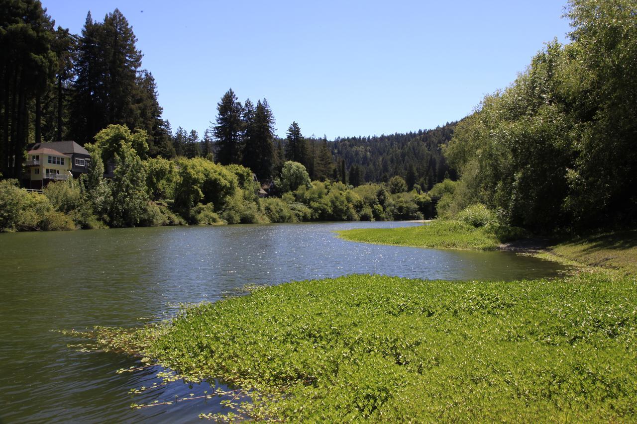 Inn On The Russian River Monte Rio Exteriör bild